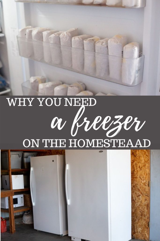 why you need a freezer on the homestead graphic 