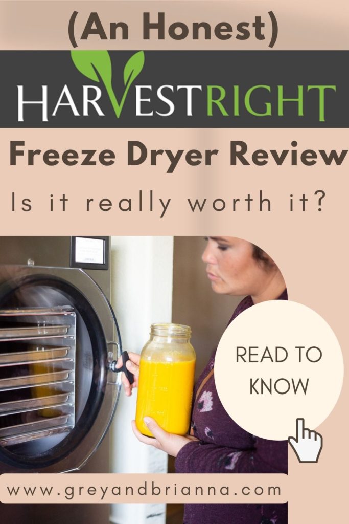 woman loading freeze dryer pinterest graphic