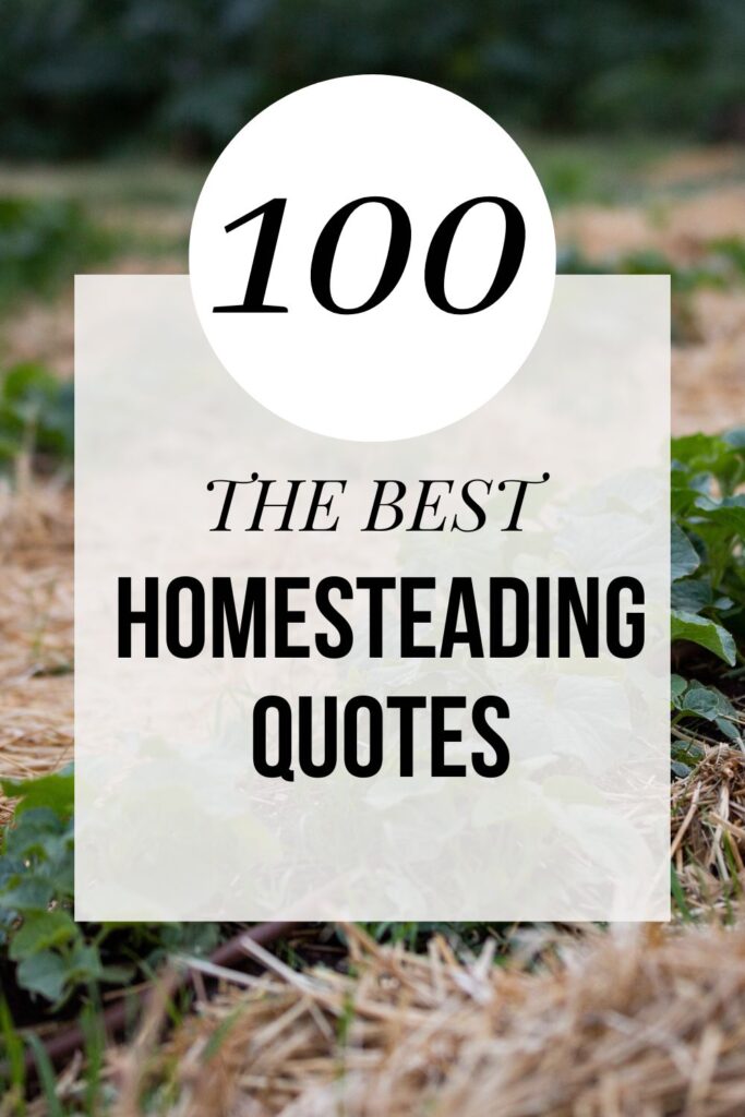 garden row and homesteading quotes pinterest graphic 