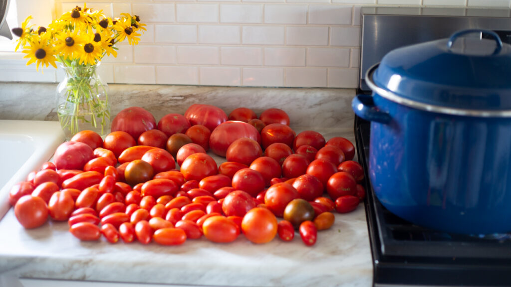 homegrown tomatoes about to be canned 