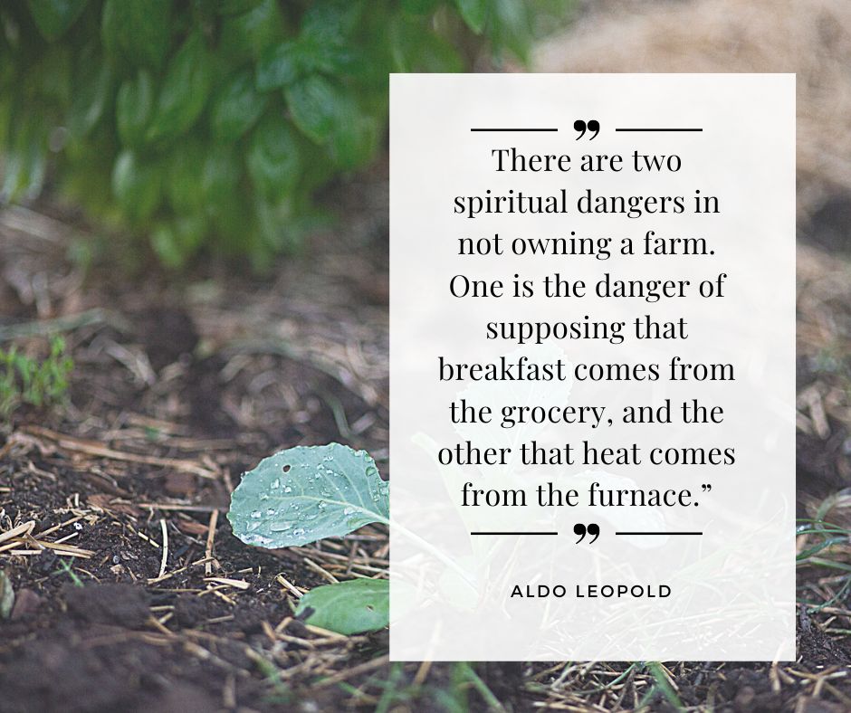 kale growing in garden and homesteading quote 