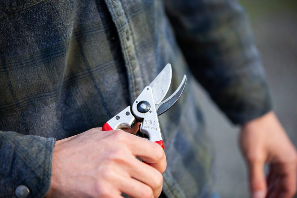 man holding pruners 