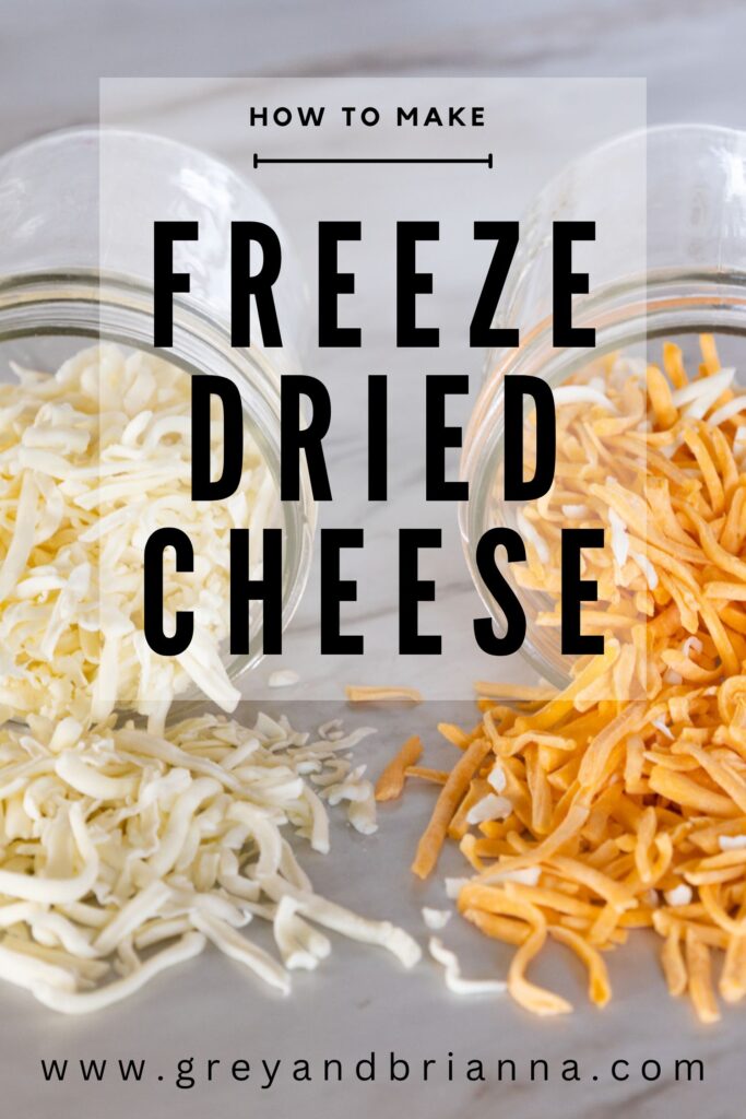 freeze dried cheese pinterest pin
