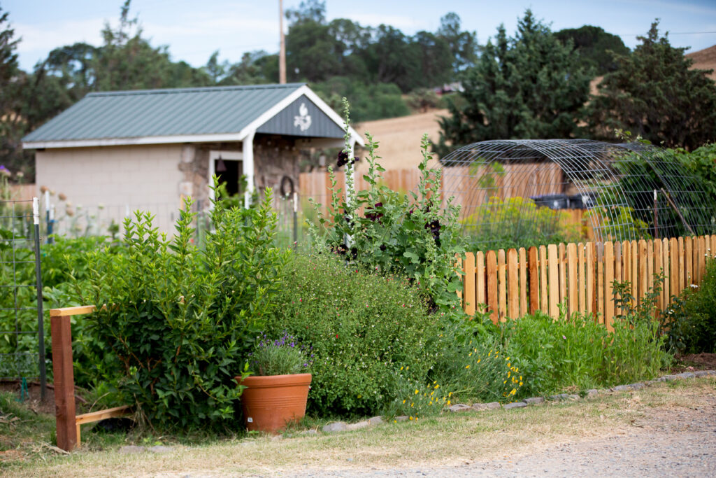 cottage garden 