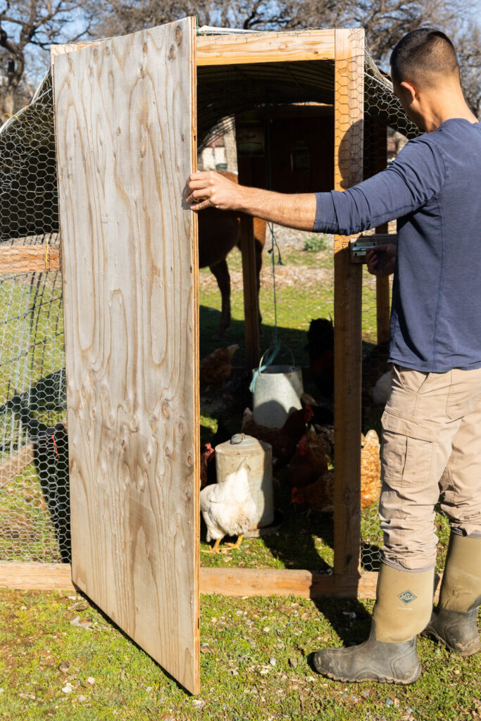 man opening chicken coop 