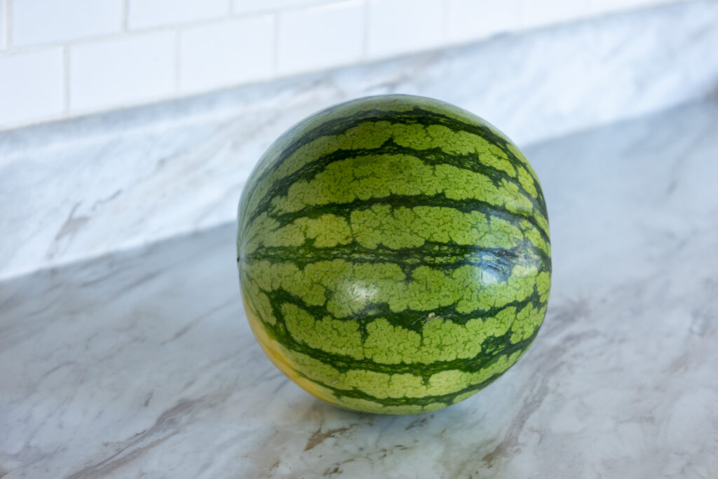 personal sized watermelon sitting on counter
