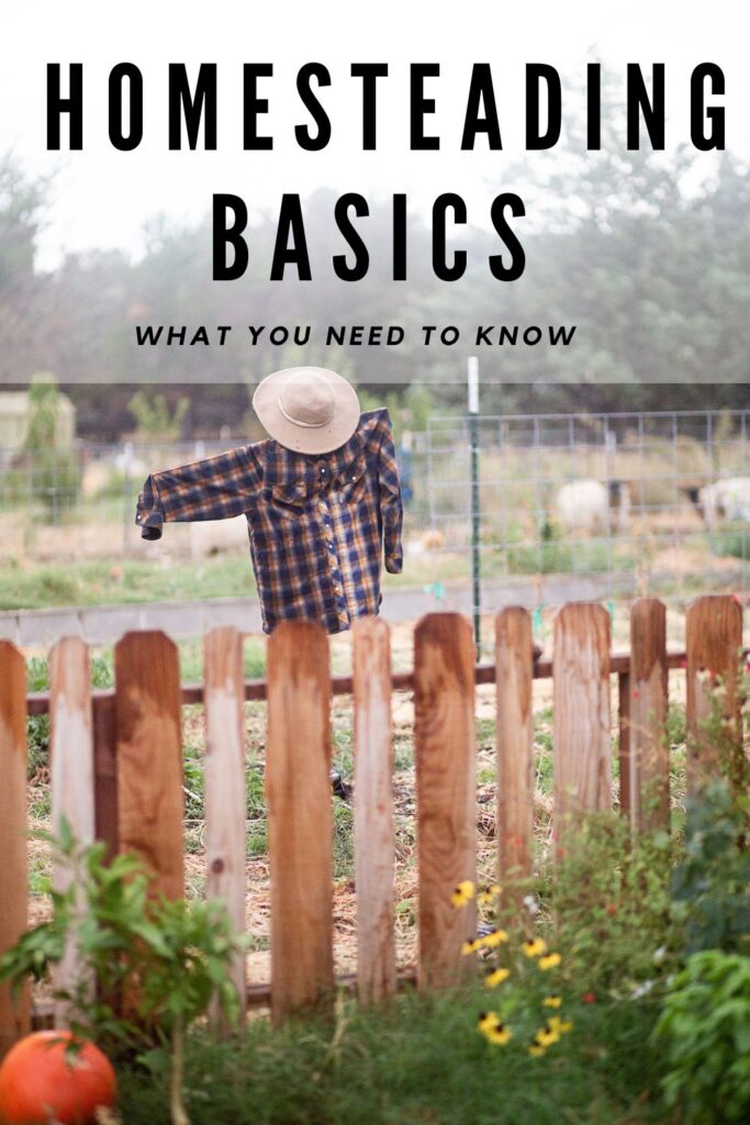 homesteading basics pinterest 