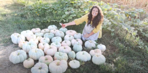 homestead mom harvesting pumpkins