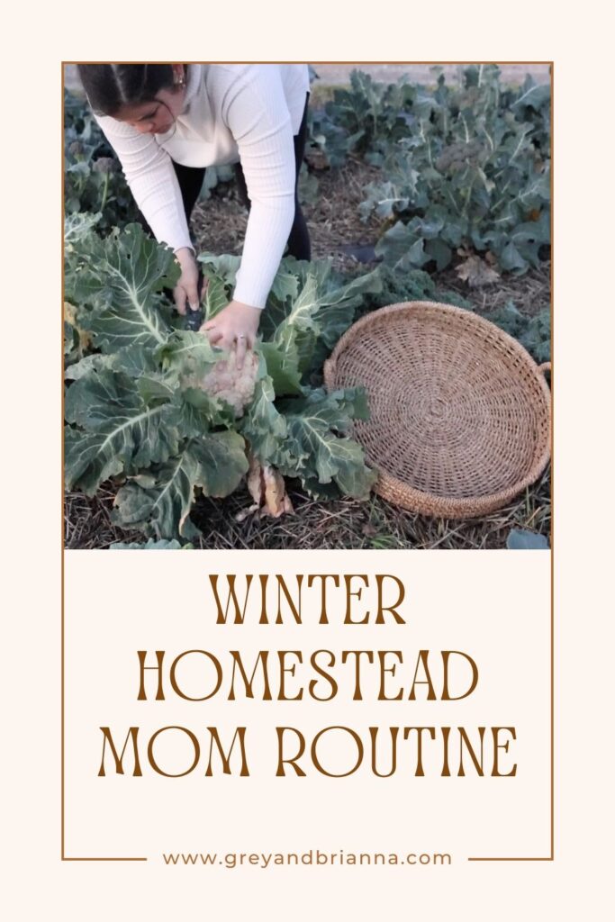winter homestead mom routine 