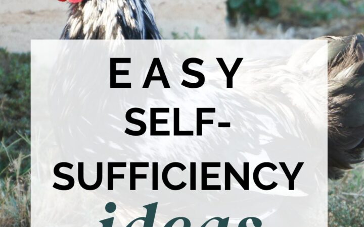 easy self sufficiency ideas